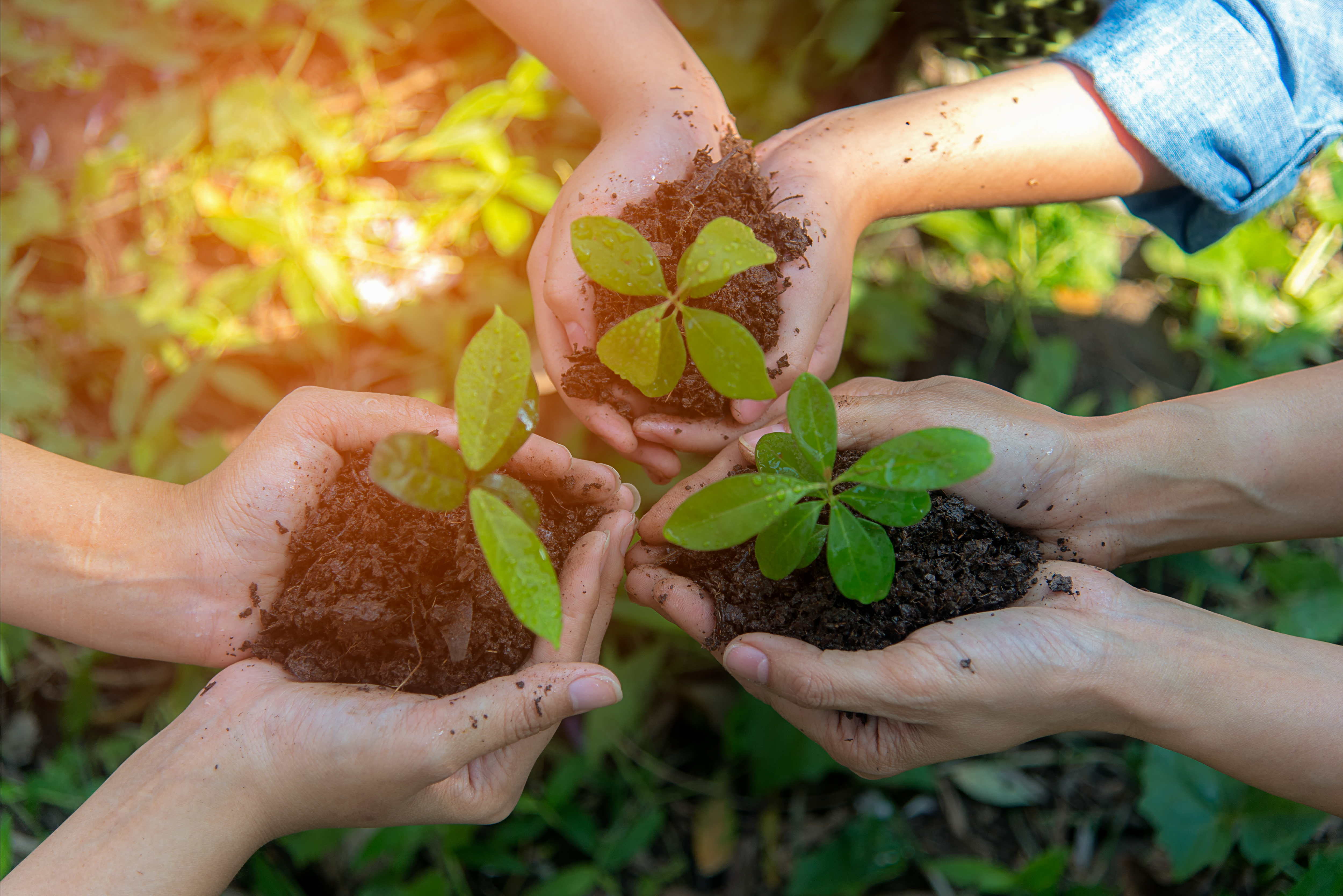 Biodiversité dans l'immobilier : OGIC